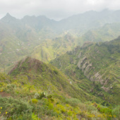Tenerife27